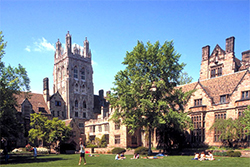 Yale university