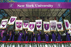 New York University