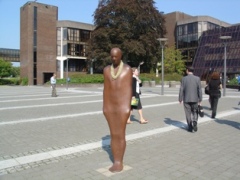 The University of Limerick Language Centre